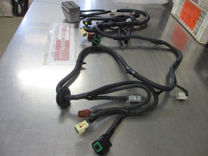 Holden Captiva CG7 Genuine Forward Lamp Wiring Harness New Part