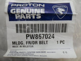 Proton Satria Neo Genuine Front Right Hand Outer Door Glass WeatherStrip New Part