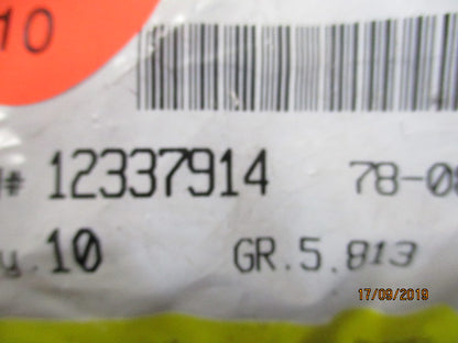 Holden VT-VX-VY-VZ Genuine Silver Lock Nut Cap New Part