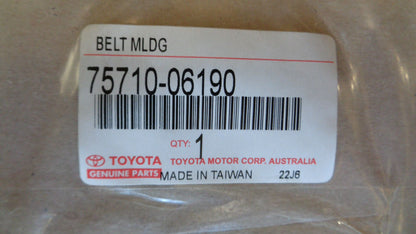 Toyota Camry/Aurion Genuine Front Door Moulding New Part