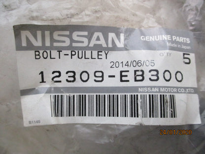 Nissan Navara D40M-R51 Pathfinder Genuine Harmonic Bolt New Part
