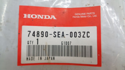 Honda Accord Genuine Rear Licence Garnish (Black Pearl) New Part