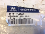 Hyundai Santa Fe Genuine Left side windsheild moulding NEW PART