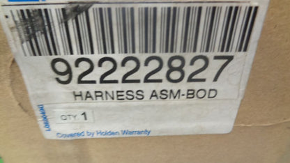 Holden VE Commodore Genuine Body Wiring Harness New Part