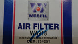 Wesfil Air Filter Element Suitable For Daewoo Cielo New Part