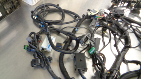 Holden RG Colorado Genuine Engine Harness New Part