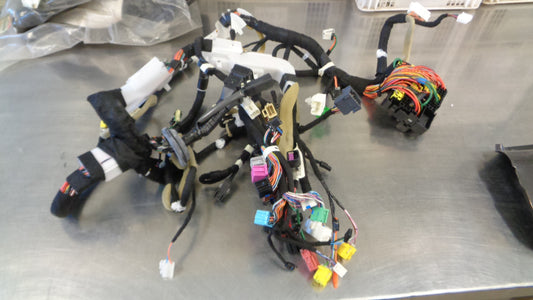 Holden VE Commodore/Statesman Genuine Body Harness New Part