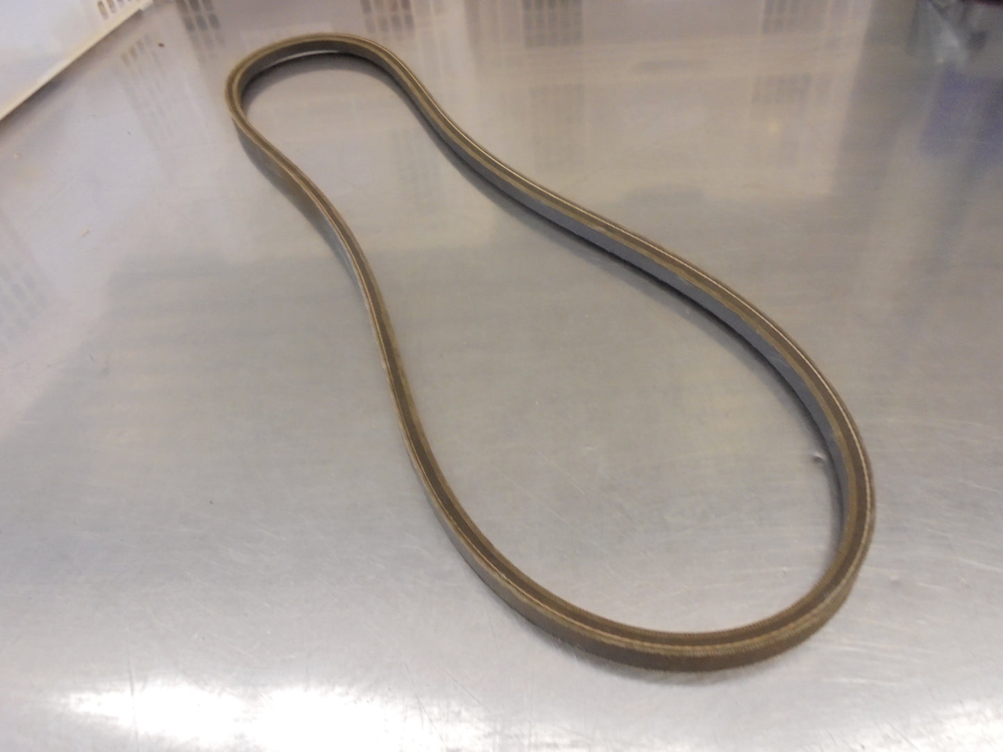 Nissan Navara Genuine Power Steer Oil Pump Belt New Part
