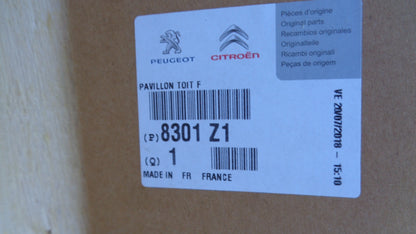Citroen Berlingo Genuine Roof Panel ASM New Part