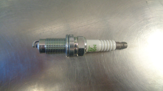 NGK Spark Plug Suits Nissan Navara New Part