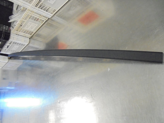 Hyundai Elantra Sedan Genuine Left Hand Roof Molding Assembly New Part