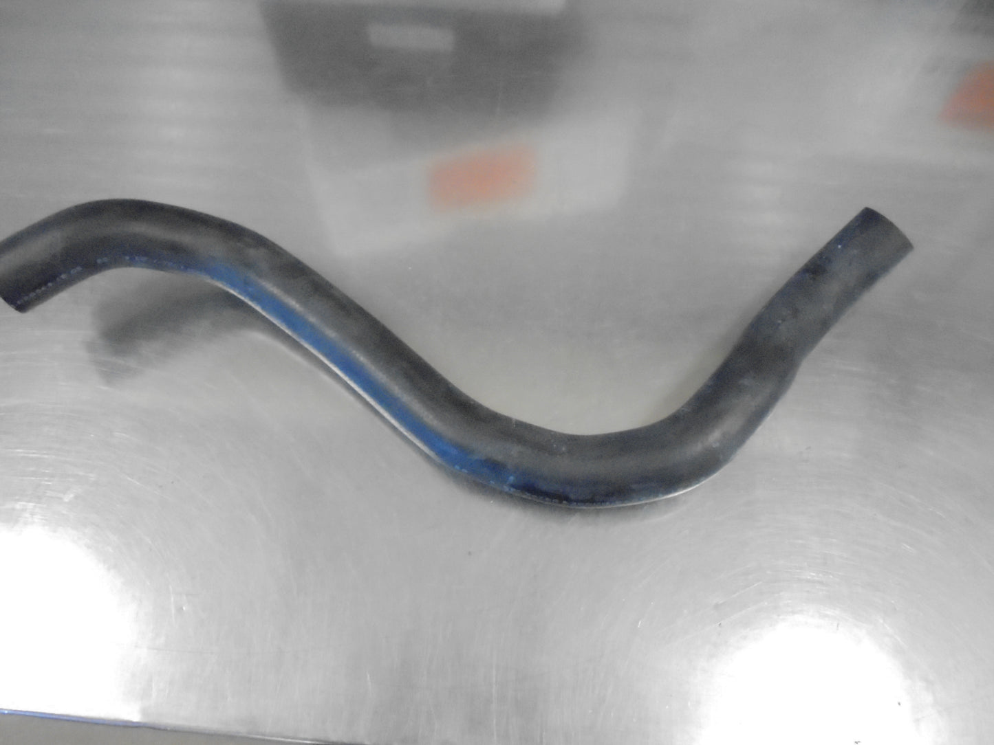 Honda Accord Genuine Lower Radiator Hose New Part