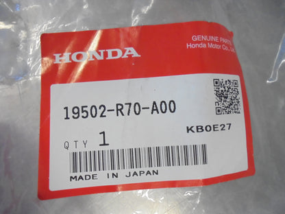 Honda Accord Genuine Lower Radiator Hose New Part