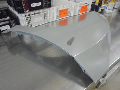 Hyundai i20 Genuine Left Hand Guard Panel New Part
