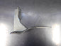 Holden / Isuzu Genuine Right Hand Tailgate Hinge Bracket New Part