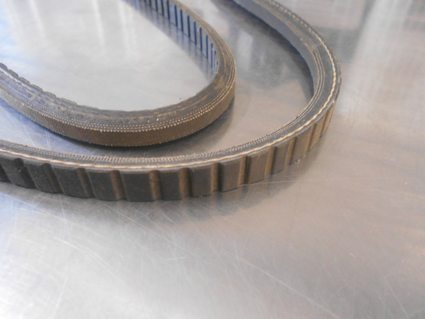 Dayco Drive Belt Suits Various Unknown Models New Part