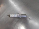 NGK Spark Plug Suits Holden VN-VY HSV/Commodore/Monaro/Statesman New Part