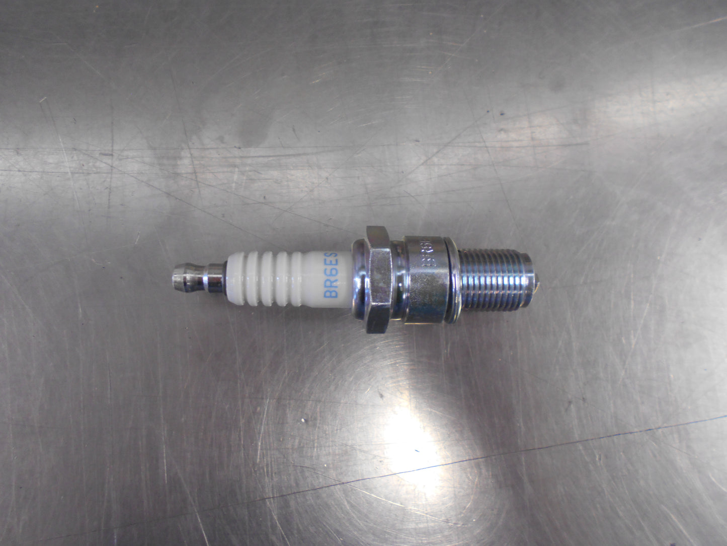 NGK Spark Plug Suits Honda Accord New Part