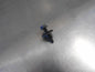 Nissan Various Models Genuine Push Pin Clip New Part