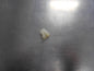 Holden Frontera Genuine Headlight Adjust Screw Mounting New Part
