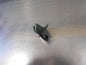 Honda Odyssey Genuine Black Sun Visor Hook New Part
