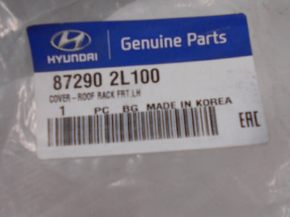 Hyundai Elantra Genuine Left Front Or Rear Roof Rack Cover New Part
