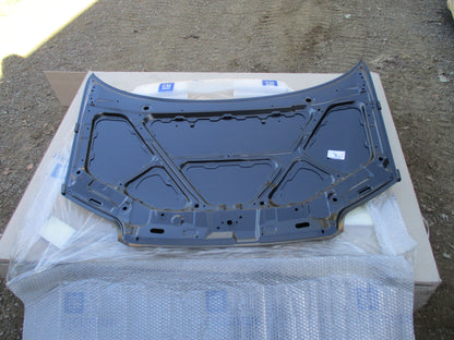 Holden Daewoo Kalos Genuine Bonnet Assembly (Unpainted) New Part