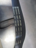 Holden Captiva Genuine Serpentine Belt New Part