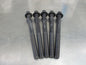 Nissan Tiida/Cube Genuine Set of 5 Head Bolts New Part