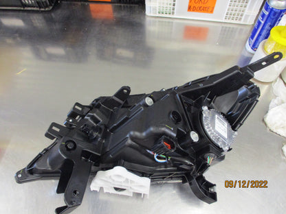 Nissan Navara D23 NP300 Genuine Right Hand Head Light Black Edition New Part
