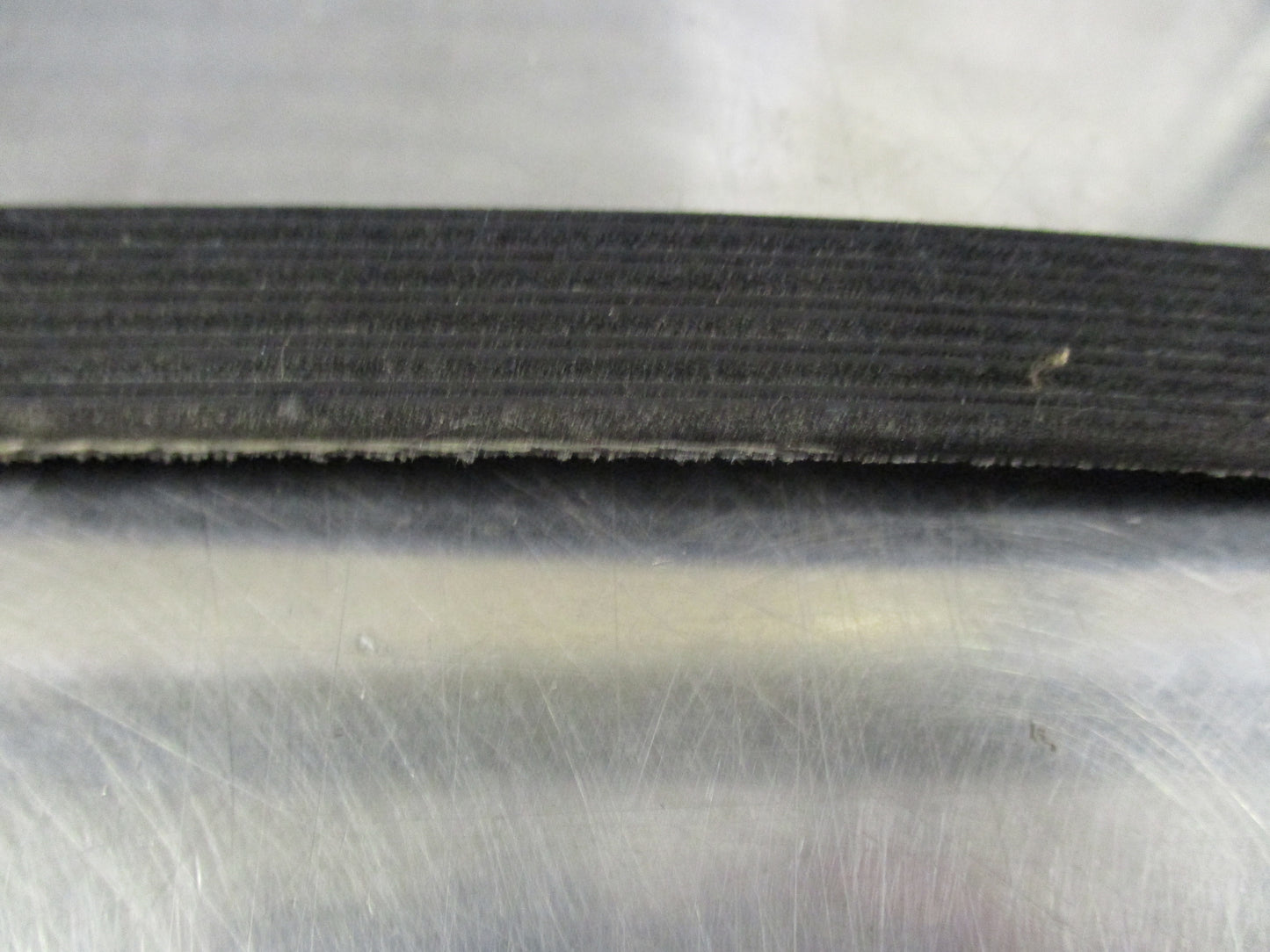 Dayco Poly-V Belt Suzuki Swift New Part