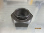 Isuzu NPR Genuine Pinion Nut New Part