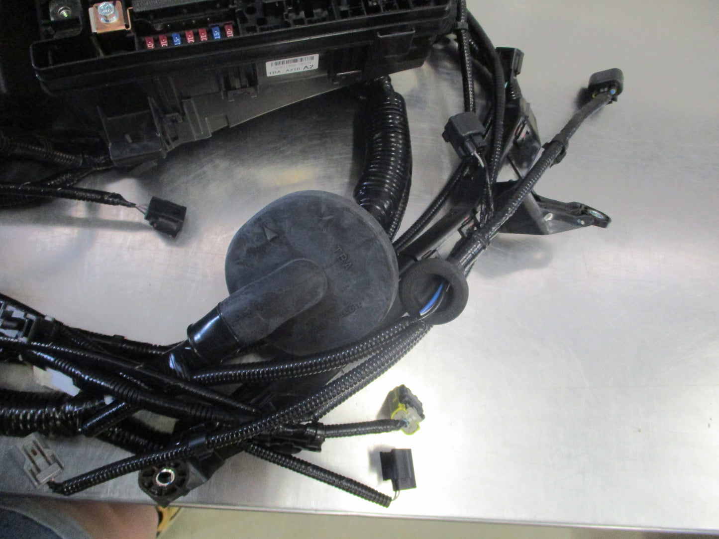 Honda Accord Genuine Room Wiring Harness New Part