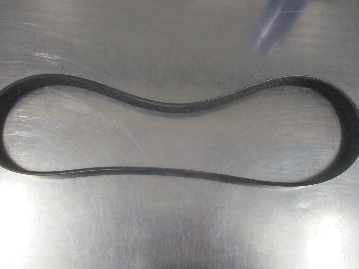 Dayco Ribbed Belt Suits various models New Part
