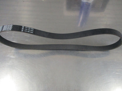 Dayco Ribbed Belt Suits various models New Part