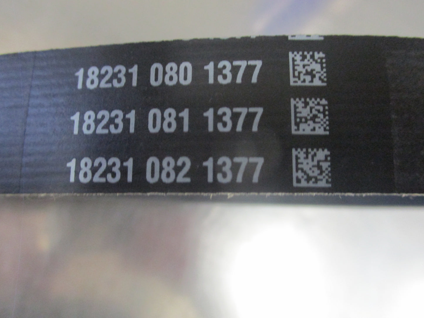 Dayco Ribbed Belt Suits various models New Part