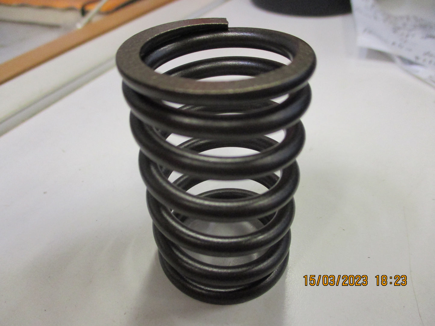 Nissan Pathfinder Genuine Outer Valve Spring New Part