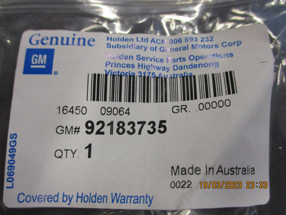Holden VE Commodore Genuine Carpet And Foot Trim Clip New Part