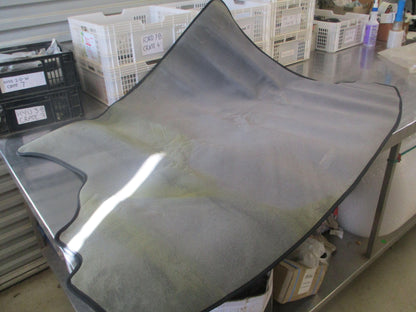 Nissan X Trail T30 Genuine Carpet Cargo Mat New Part