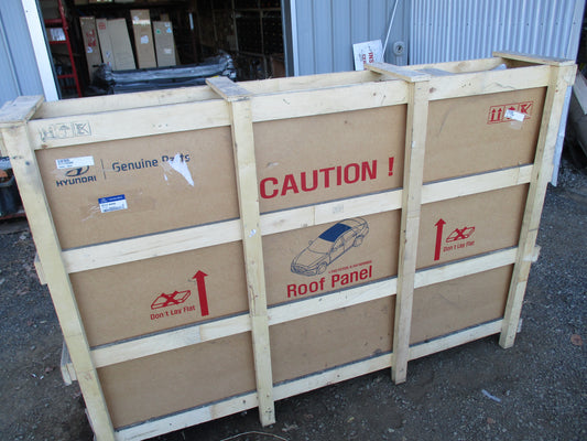 Hyundai Elantra Genuine Roof Panel (Turret) New Part
