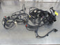 Holden JH Cruze Sedan Genuine Front Lamp Wiring Harness New Part