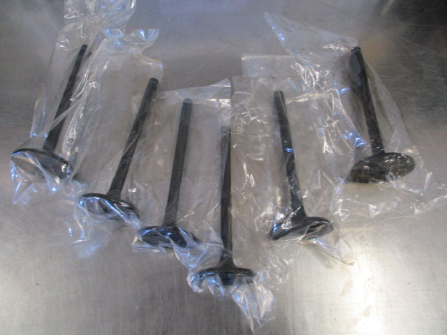Diesel Power Parts Valve Inlet Set Suits Nissan Y60 Patrol New Part